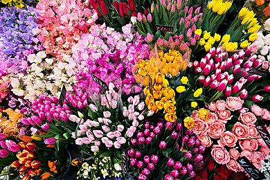 《足球经理26》正式公布！将采用虚幻引擎开发！