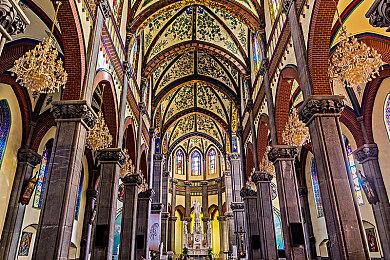 天堂w注册教程 预载速度慢满速下载方法推荐